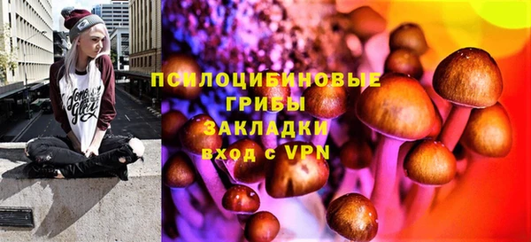 молекула духа Баксан